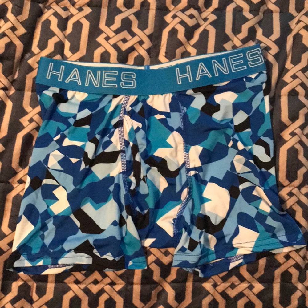 Hanes Briefs